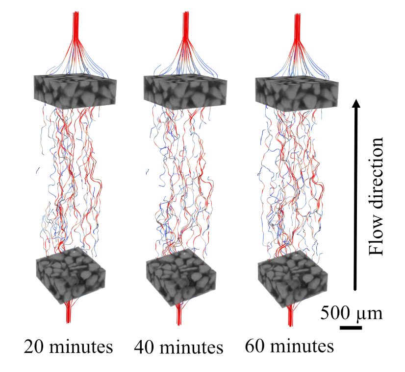 A diagram of a flow direction AI-generated content may be incorrect.