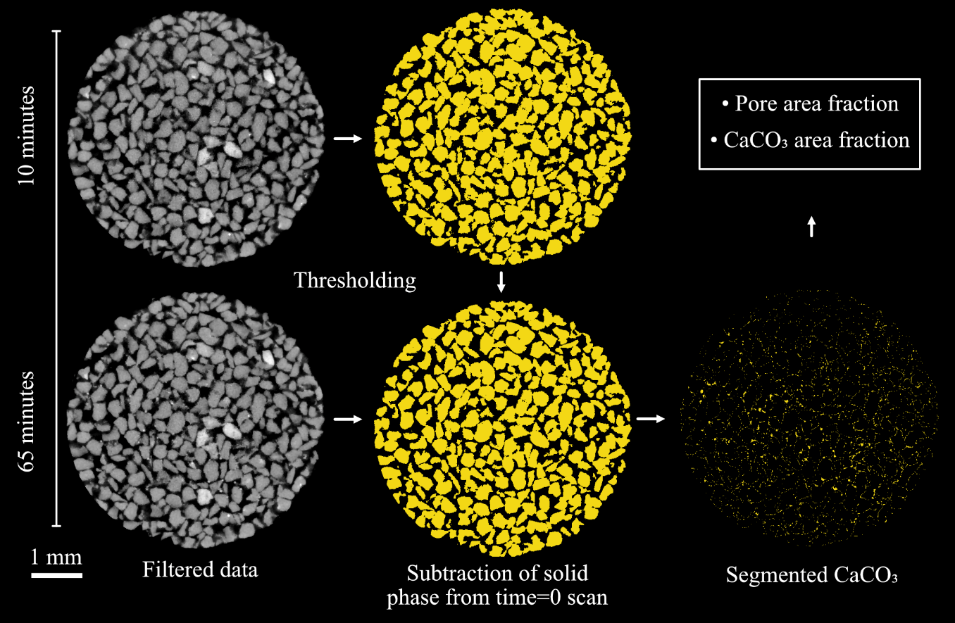 A diagram of different types of data AI-generated content may be incorrect.