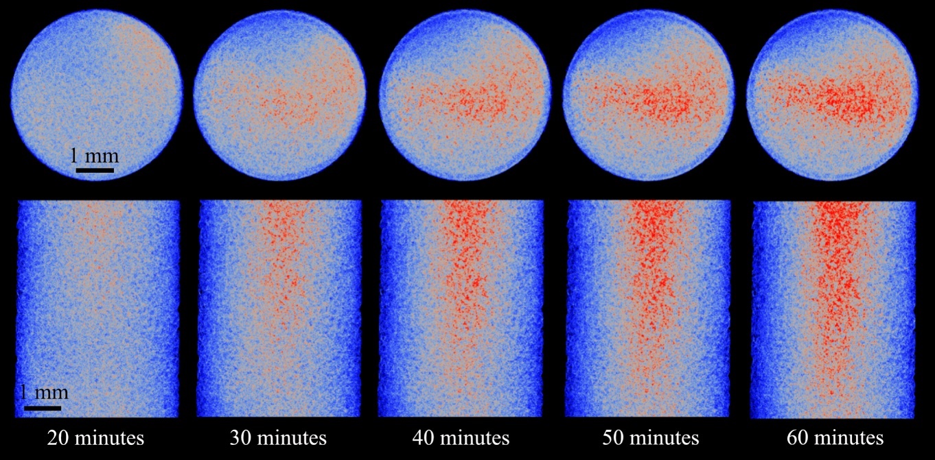 A close-up of several circles AI-generated content may be incorrect.