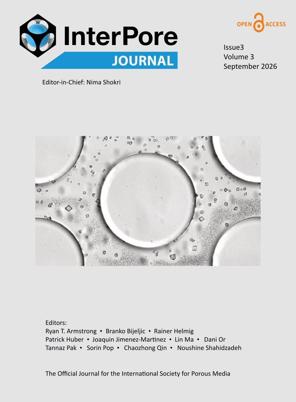 Cover image of this years issue, featuring an image of  Ostwald ripening of calcite crystals, beginning with dense accumulations of tiny crystals formed under conditions of high supersaturation.