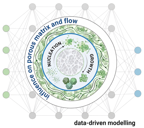 Schematic showing crystal nucleation and growth in a porous medium, the influence of porous-matrix structure and flow, and their integration with data-driven modelling.