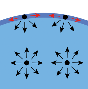  Diagram showing the forces acting upon water molecules inside a liquid and located on its surface