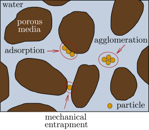 Example of processes impacting particle transport through porous media: Mechanical entrapment (size exclusion), adsorption (related to physicochemical interactions), and agglomeration (particles aggregation).