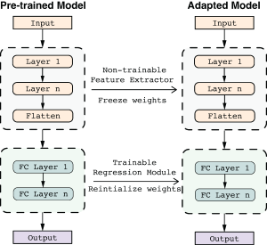 Graphical abstract