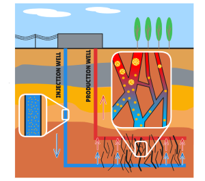 Schematic of an enhanced geothermal system with injection and production parallel wells and hypothetical behavior of individual heat-sensitive resin droplets within fractures (showing expansion and foaming in the hot region).